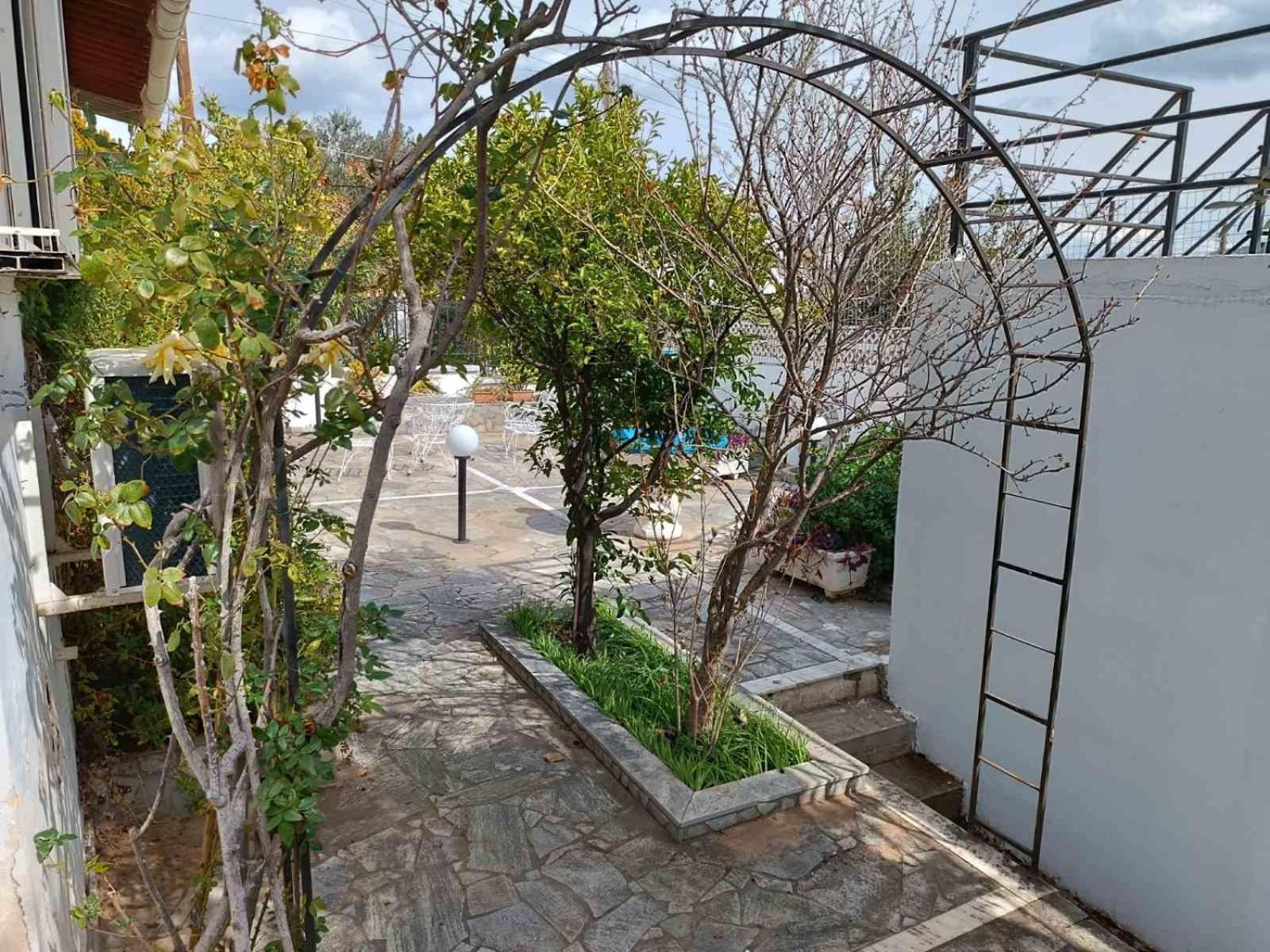 Oli'S Sea House Villa Саламис Екстериор снимка